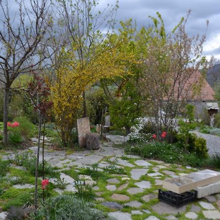 Petit Appartement En Montagne Saint-Julien-en-Champsaur 외부 사진